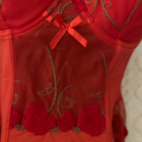 Donna L’oren Matching Corset with Garter and panties set. - Picture 2 of 12